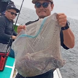 タコ