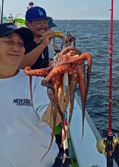 タコの釣果