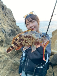 ガシラの釣果
