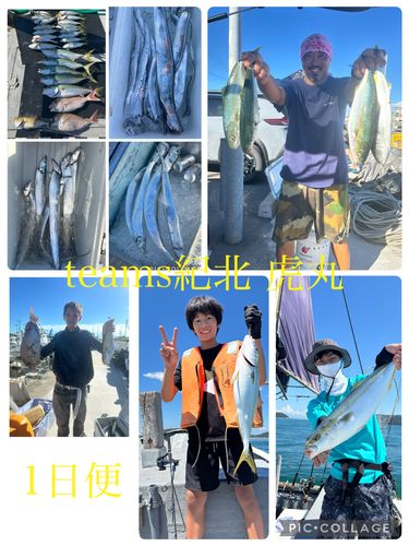 ツバスの釣果