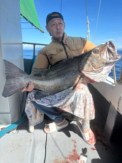 イシナギの釣果