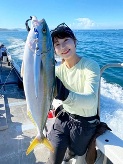 ハマチの釣果