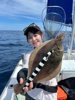 カレイの釣果