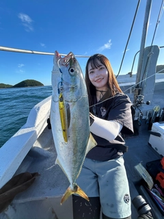 ハマチの釣果