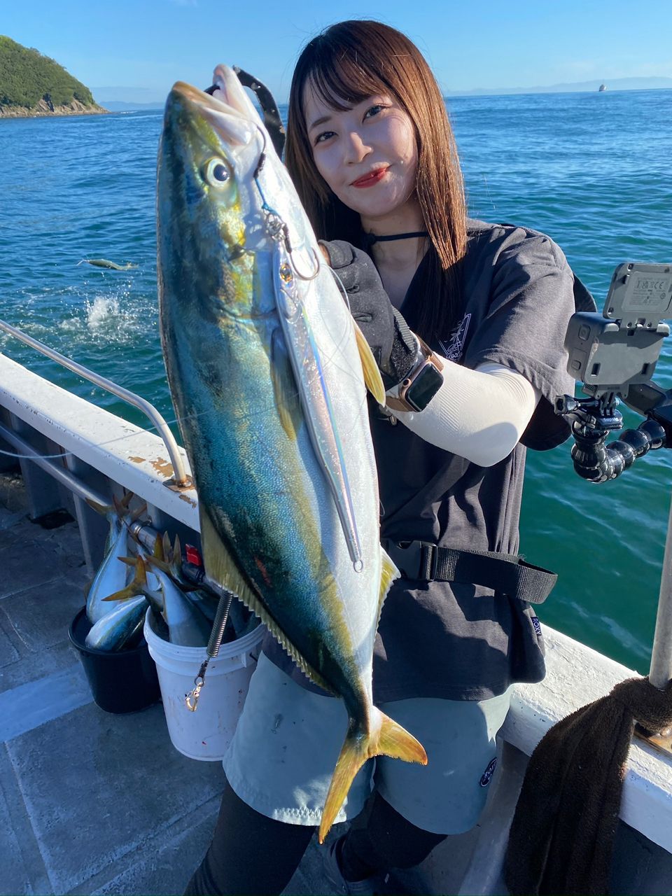 ハマチ