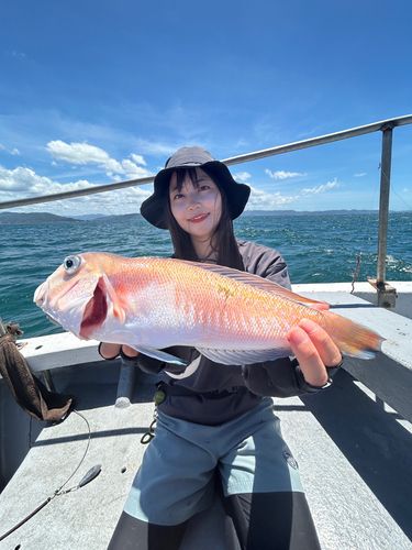 シロアマダイの釣果