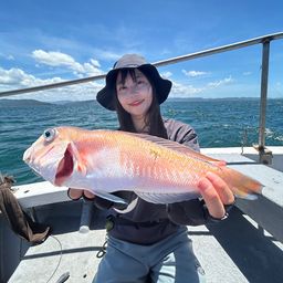シロアマダイ