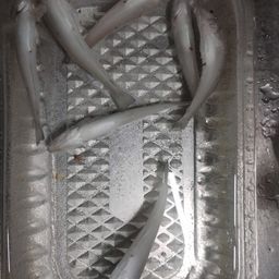キス