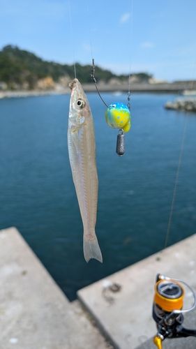 大浜漁港（宮戸島）
