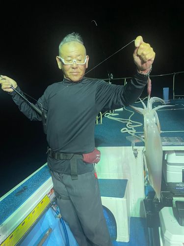 ケンサキイカの釣果