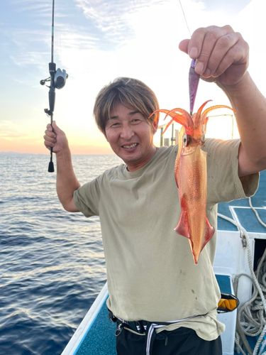 ケンサキイカの釣果