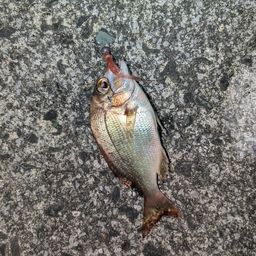 タイ