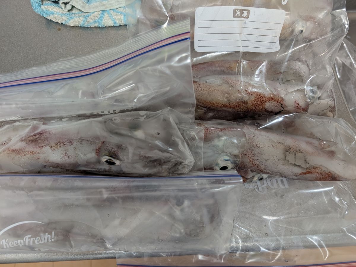 太郎寿司さんの釣果 1枚目の画像