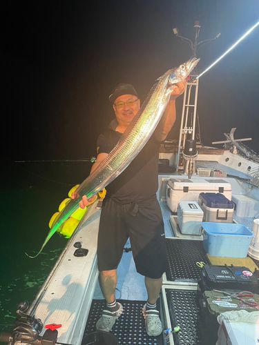 タチウオの釣果