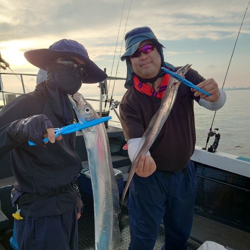 タチウオの釣果