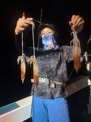 ヤリイカの釣果