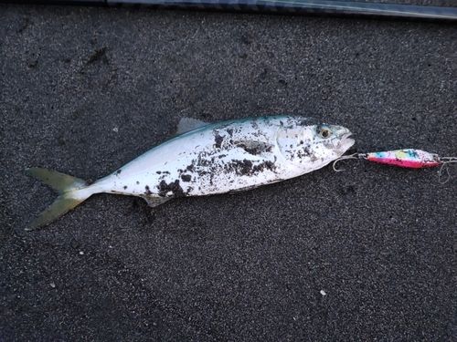 鵠沼海岸