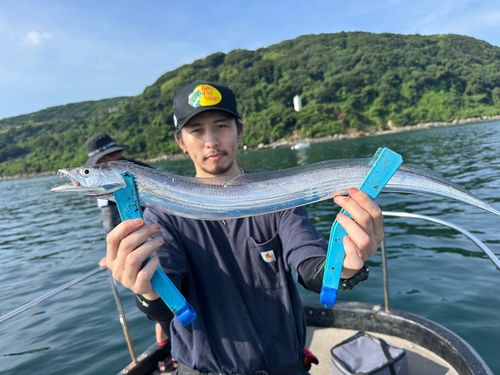 タチウオの釣果