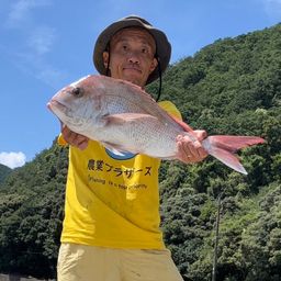 タイ
