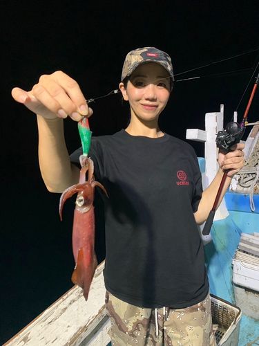 ヤリイカの釣果
