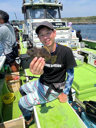 カワハギの釣果