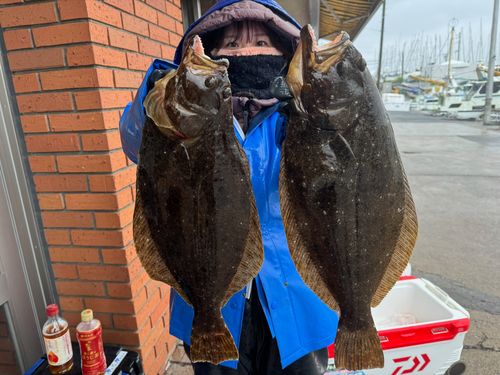 ヒラメの釣果