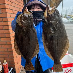 ヒラメ