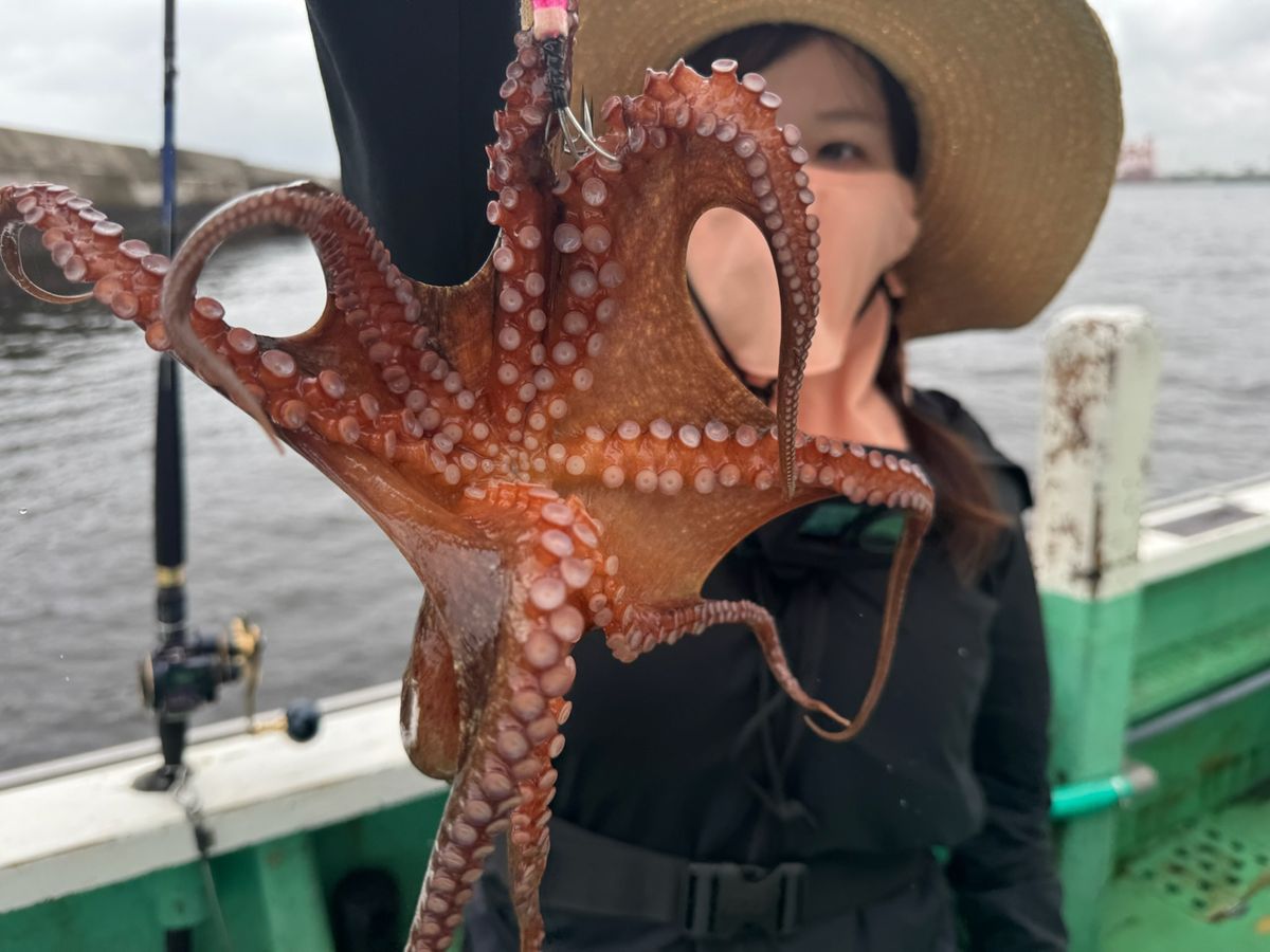 あや🐟さんの釣果 1枚目の画像