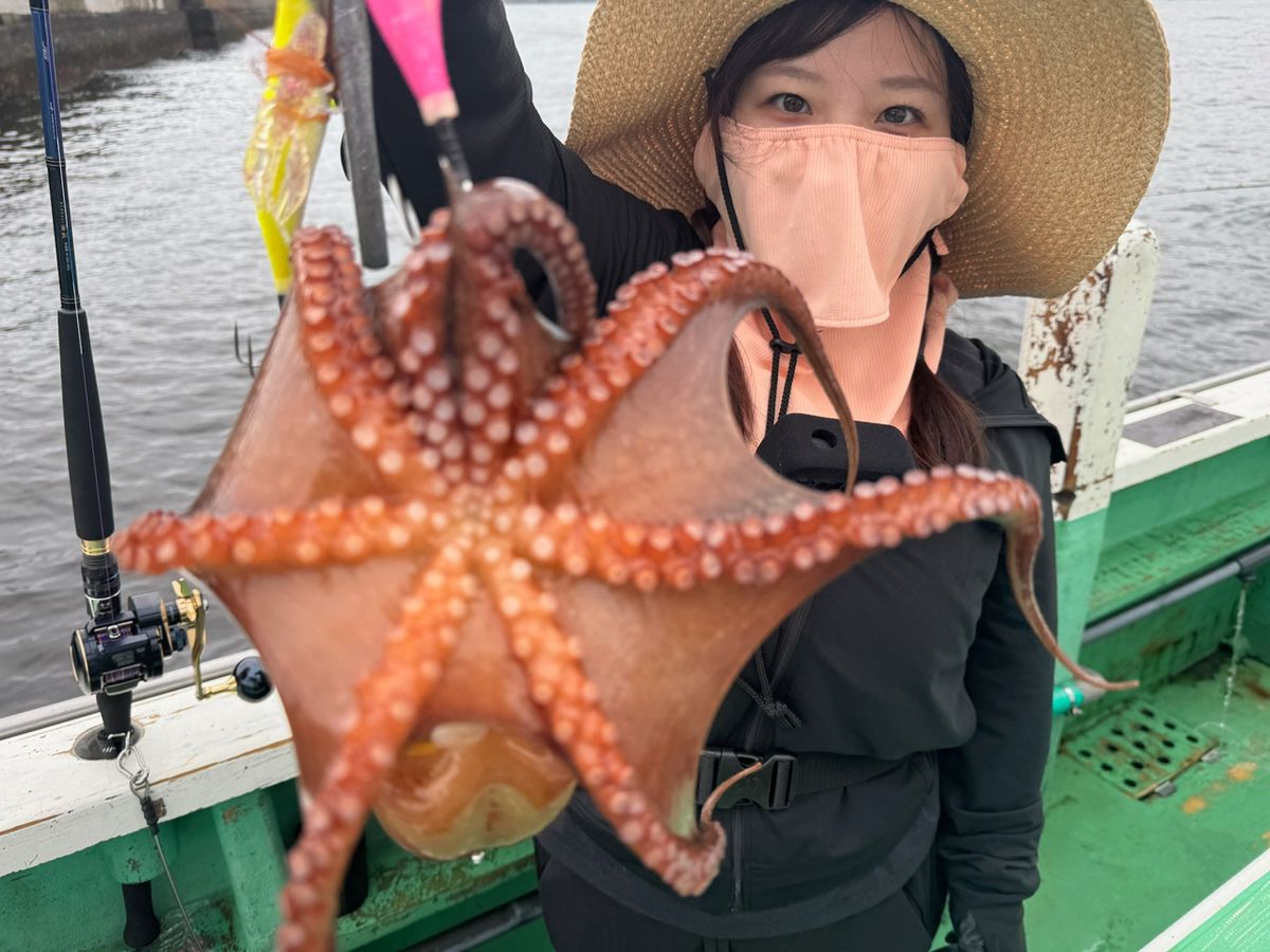 あや🐟さんの釣果 2枚目の画像