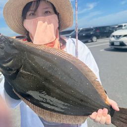 ヒラメ
