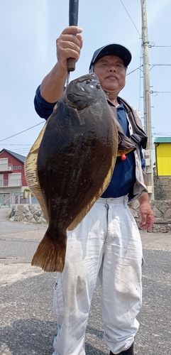 ヒラメの釣果