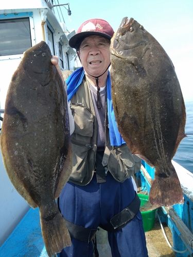 ヒラメの釣果