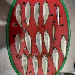 サッパ