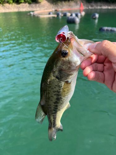 風屋ダム
