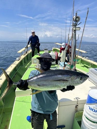 キハダマグロの釣果