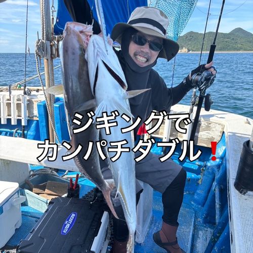 カンパチの釣果