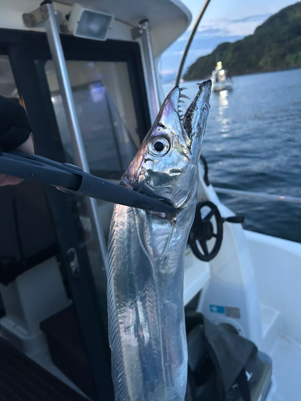 アングラービビさんの釣果 1枚目の画像