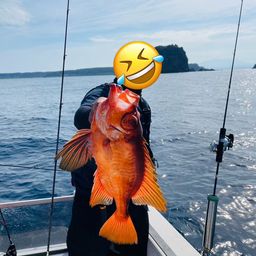 チカメキントキ
