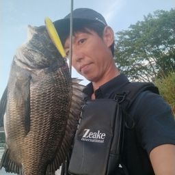 クロダイ