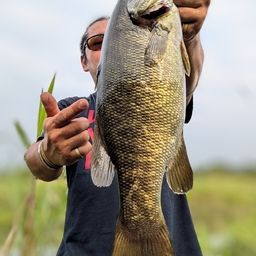 スモールマウスバス