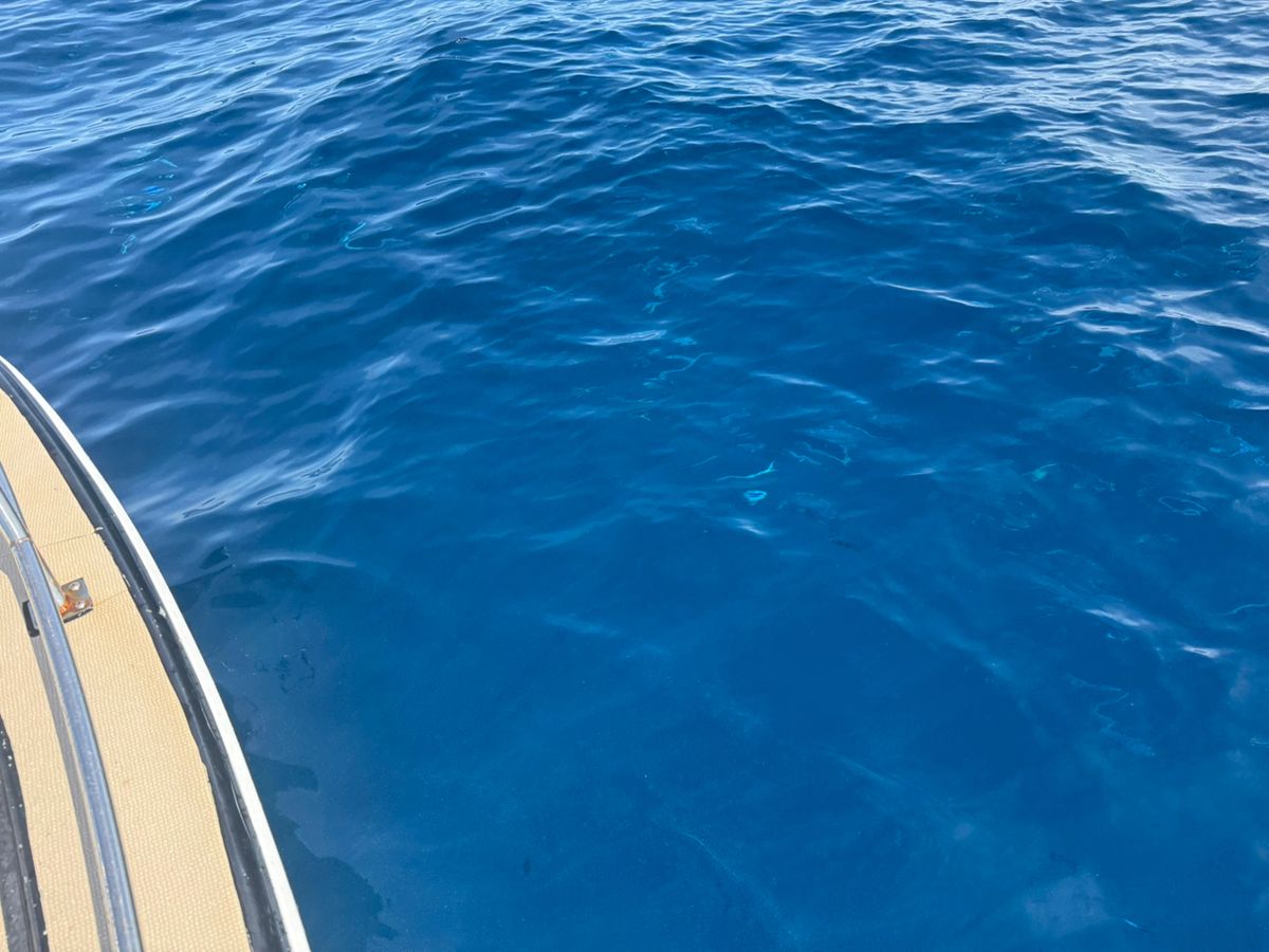 小波さんの釣果 2枚目の画像