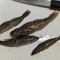 アヤアナハゼ