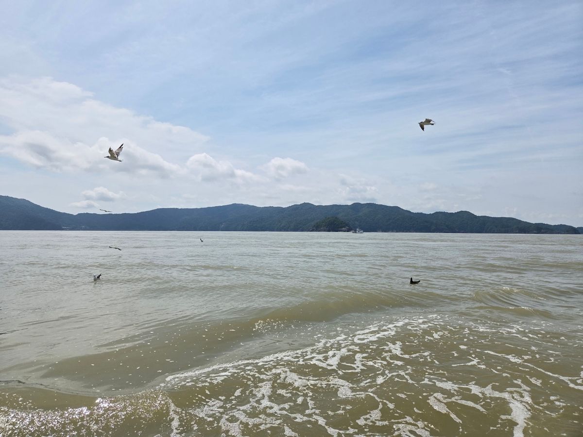 謎アングラ～Mさんの釣果 2枚目の画像