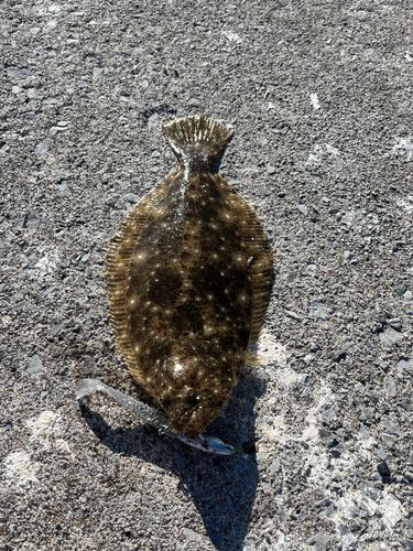 ちぢり浜