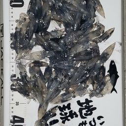 ヒイカ