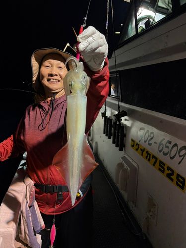 イカの釣果