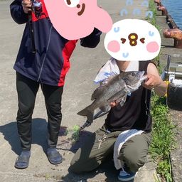 チヌ