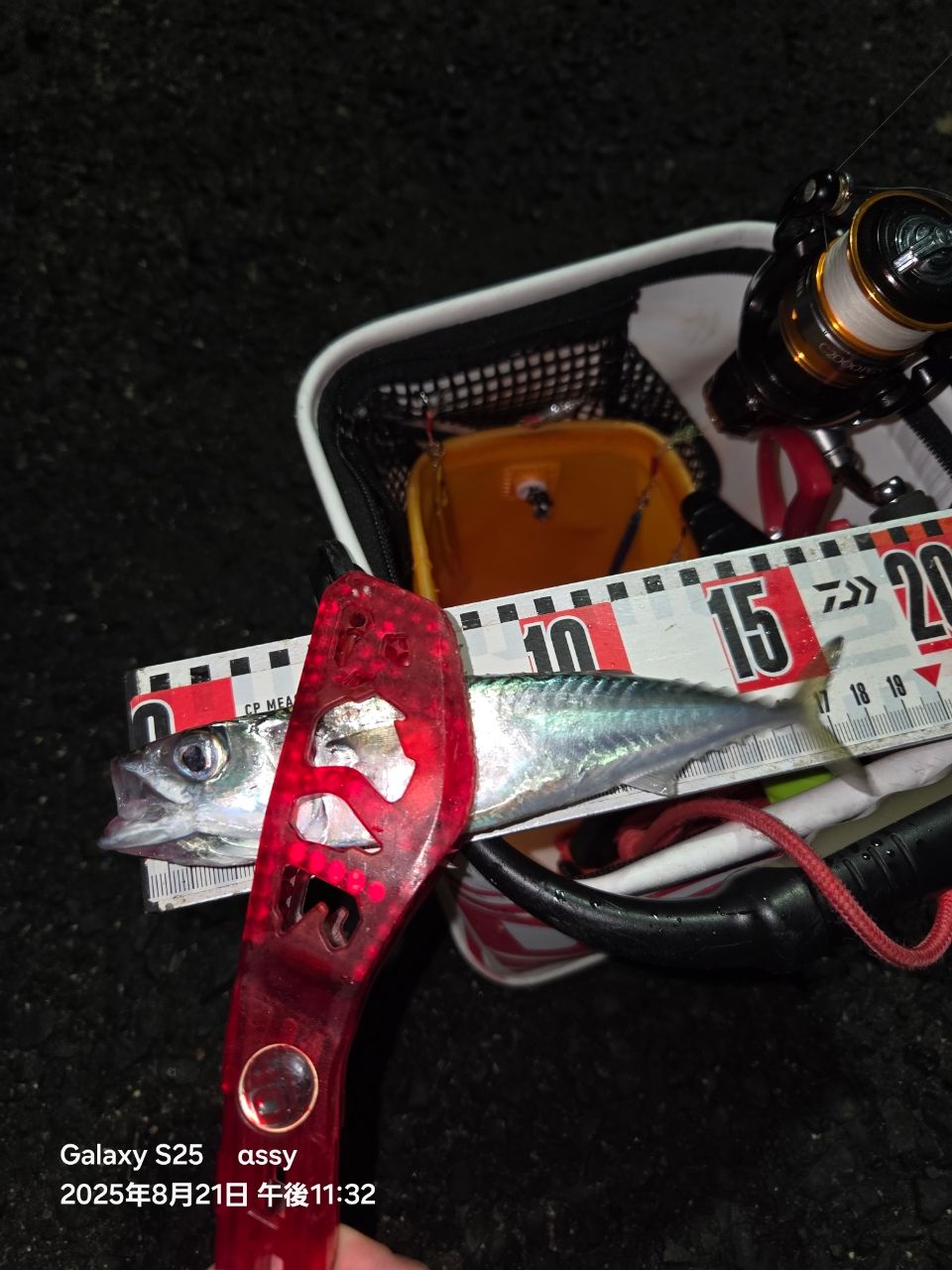 SHIMANO 17ソアレ CI4+ アジング S608UL-Sの最安値・インプレ