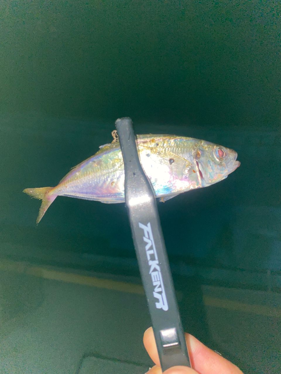 鯵道5Gシリーズ AD5-S582L/AJI Major Craft メジャークラフト 鯵道5G AD5-S582L/AJI Lシリーズ