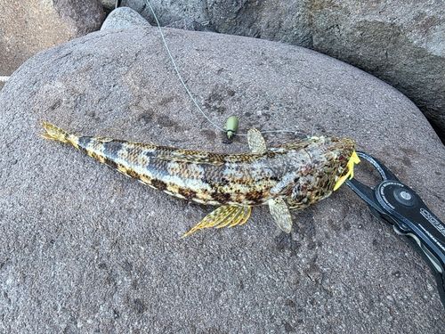 エソ